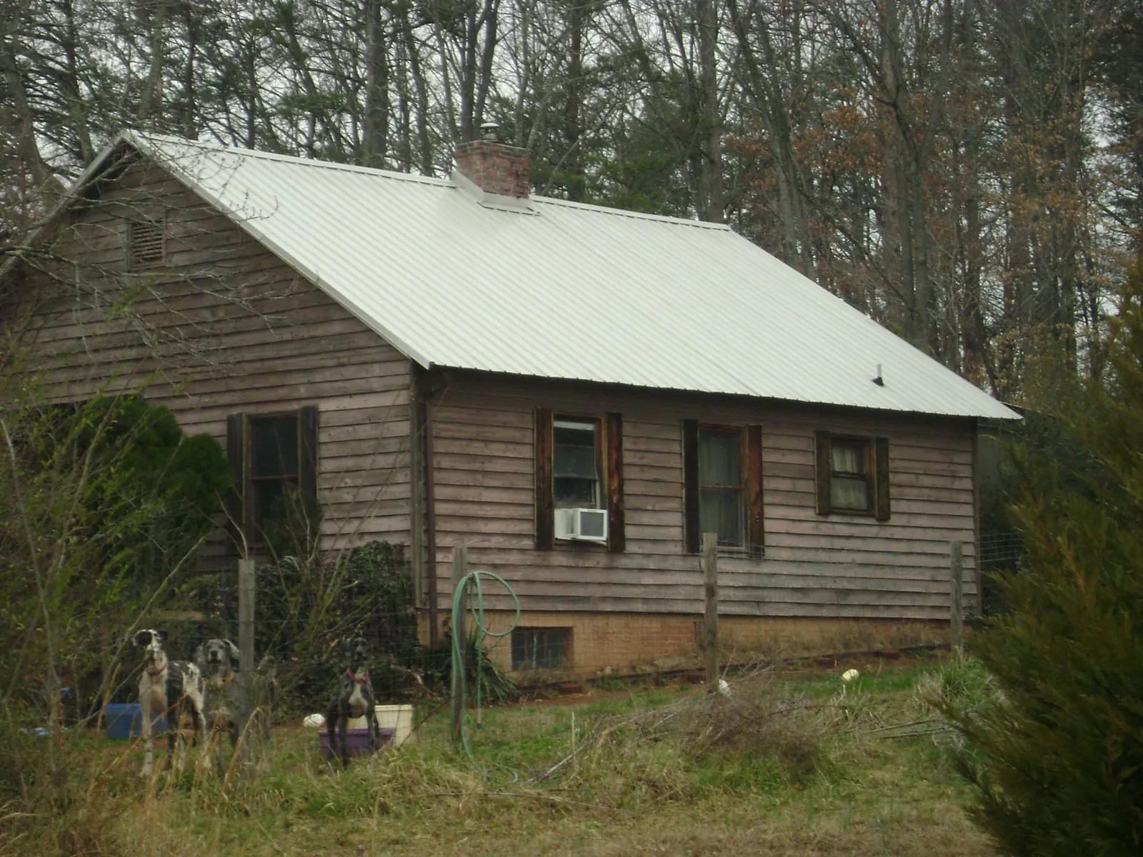 White metal roof on an old wood sided farmhouse, from a Asphalt Shingle Roof Repair job in Montezuma